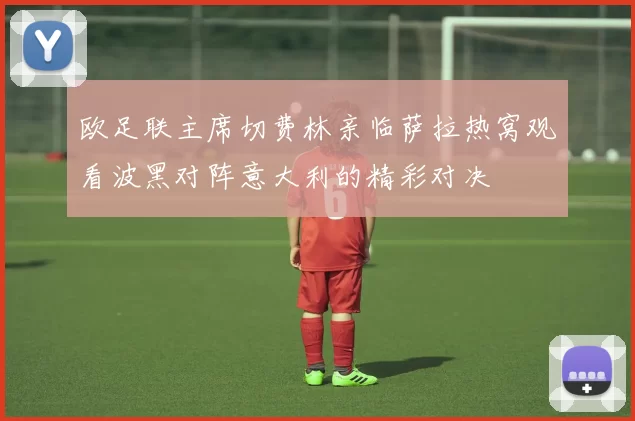 欧足联主席切费林亲临萨拉热窝观看波黑对阵意大利的精彩对决